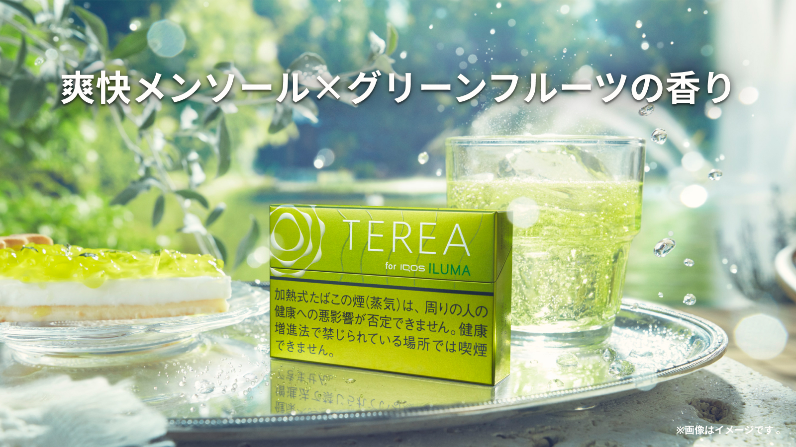 TEREA ICOSILUMA 11個入り TEREA MENTHOL (MADE FOR IQOS ILUMA)-IQOS- | Official